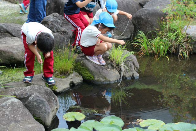 seiwa_(3).jpg